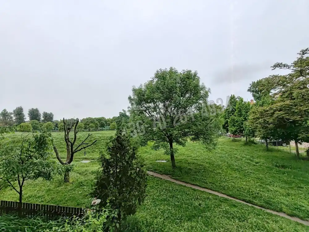 Budapest, XXI. kerület - Erdősor