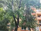 Budapest, XXI. kerület - Szabadság -Erdősor utcai ltp.