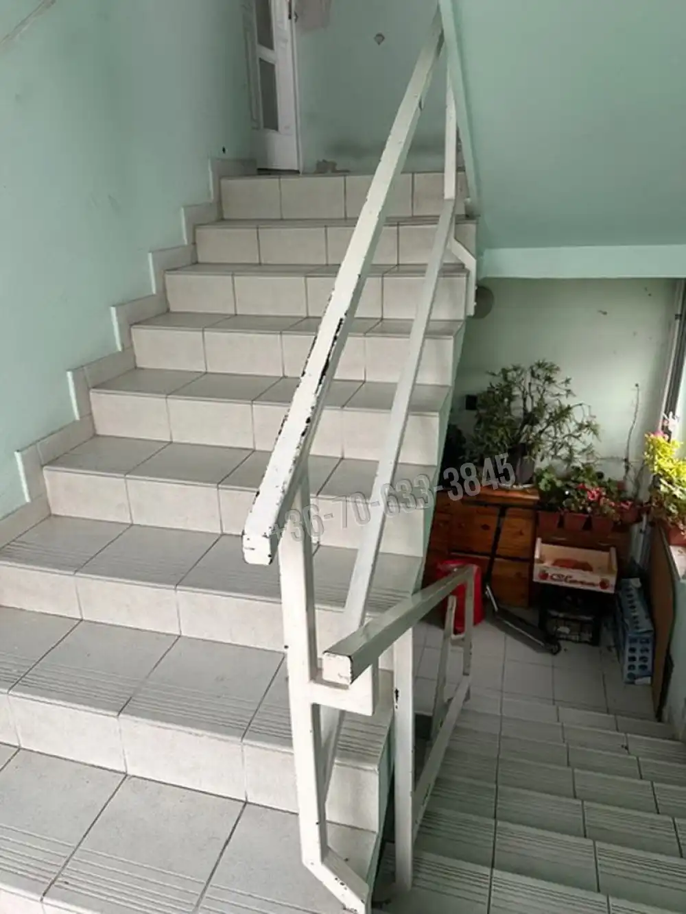 Budapest, XXI. kerület - Királyerdő