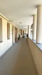Pest megye - Dabas