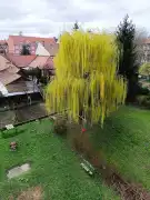 Heves megye - Eger