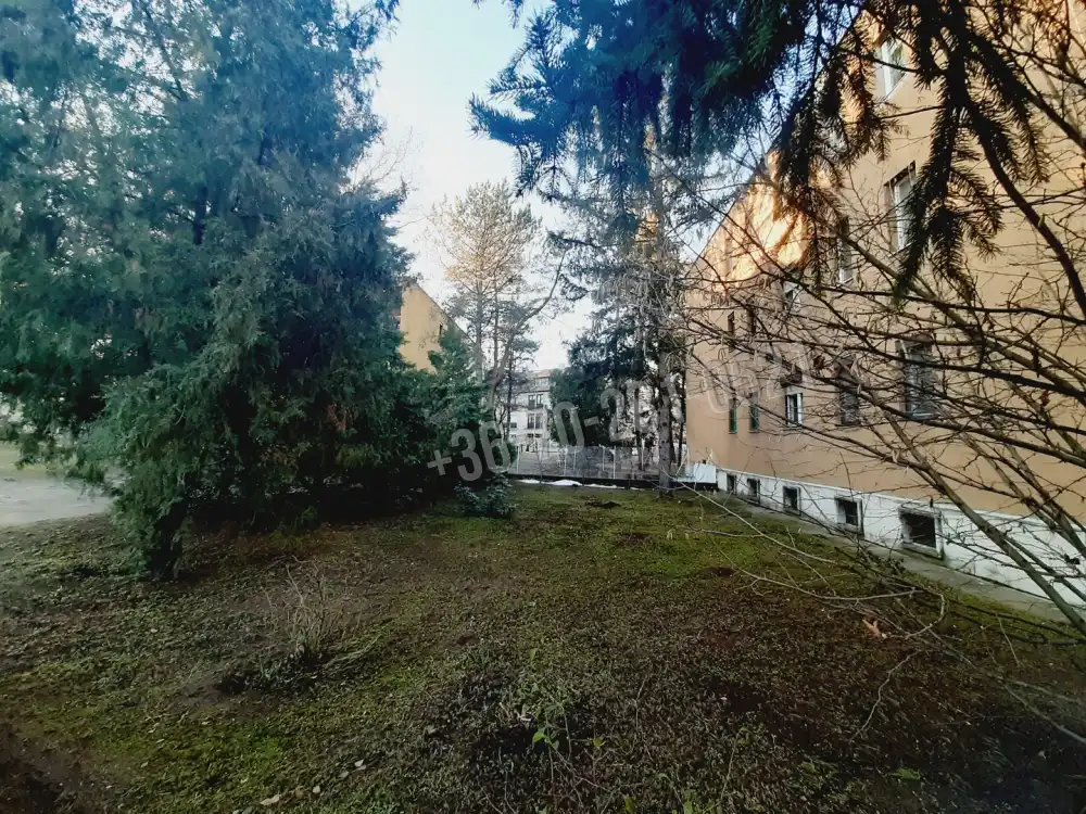 Pest megye - Göd