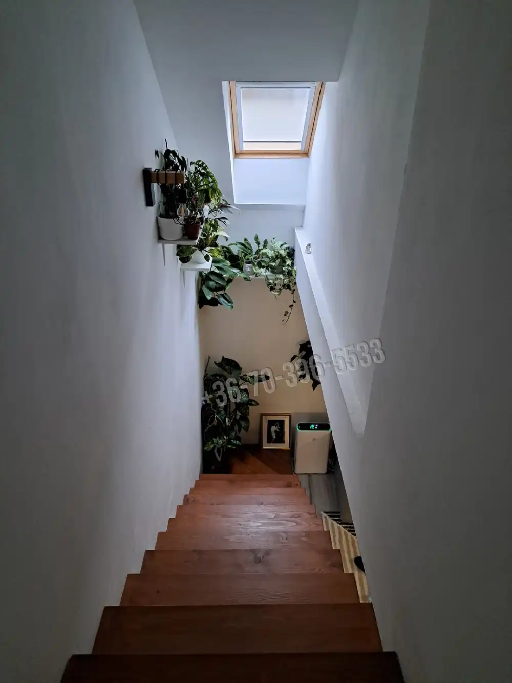 Pest megye - Gödöllő