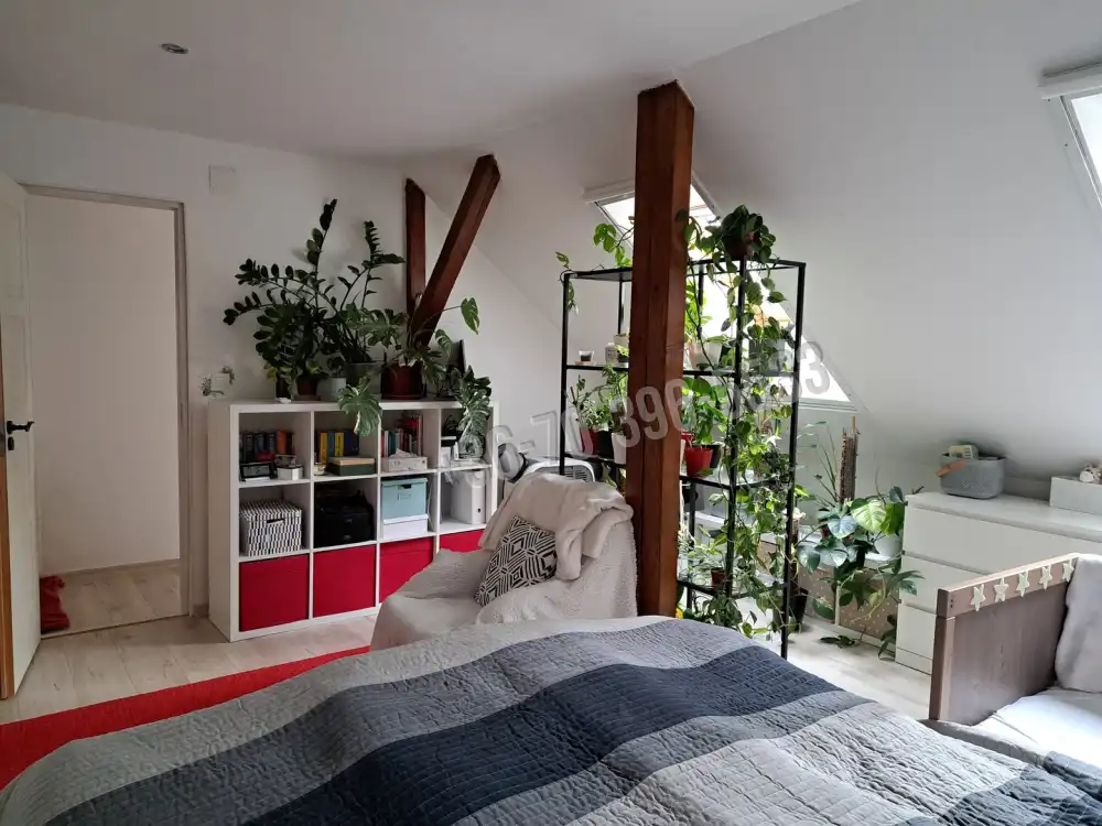 Pest megye - Gödöllő