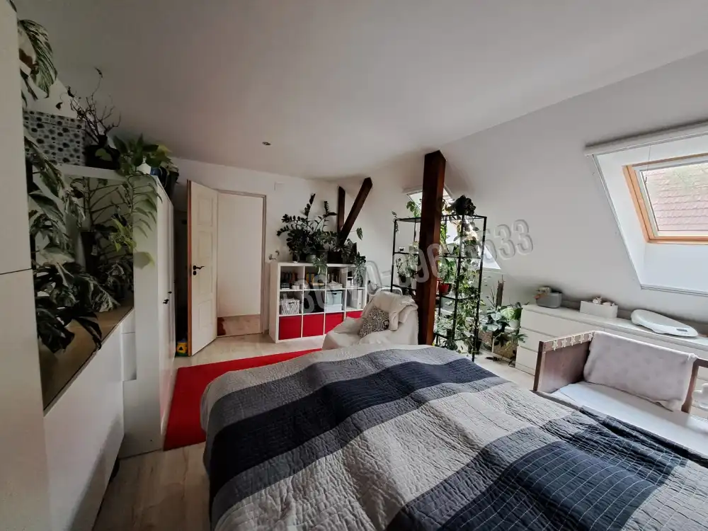 Pest megye - Gödöllő