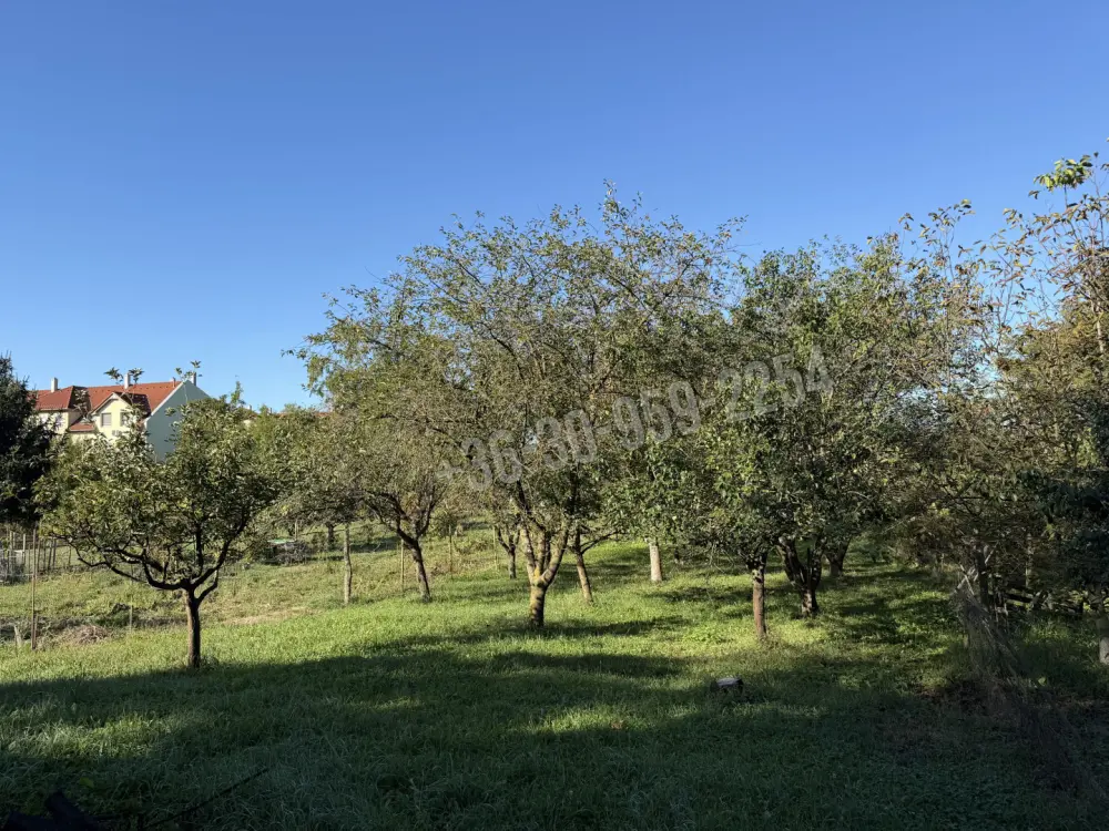 Zala megye - Nagykanizsa