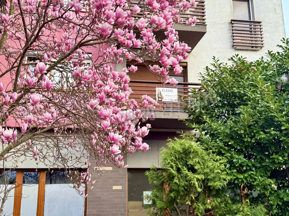 Komárom-Esztergom megye - Oroszlány