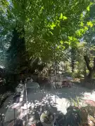 Vas megye - Sárvár