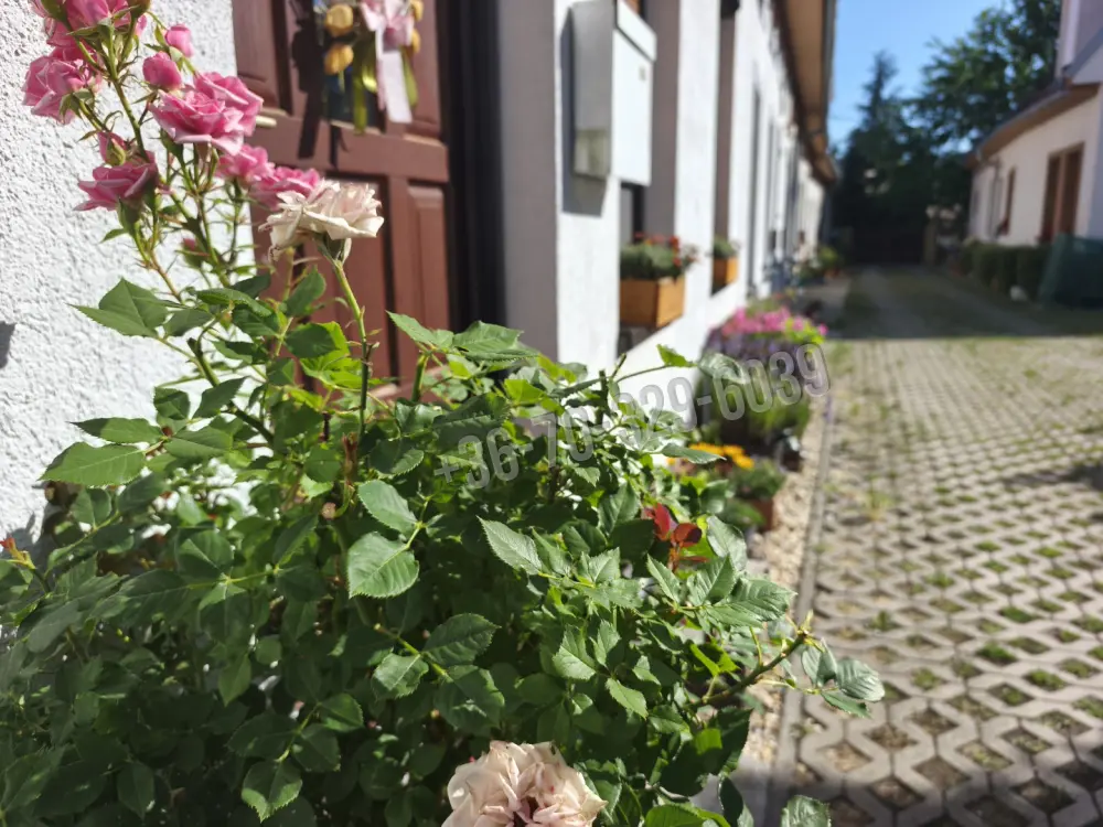 Győr-Moson-Sopron megye - Sopron