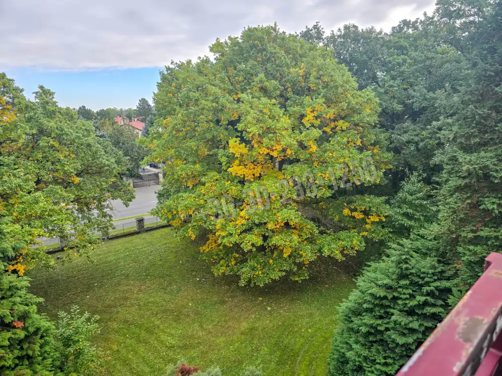 Győr-Moson-Sopron megye - Sopron