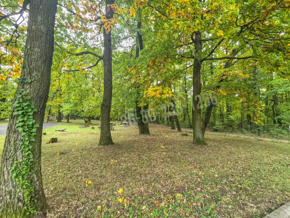 Győr-Moson-Sopron megye - Sopron