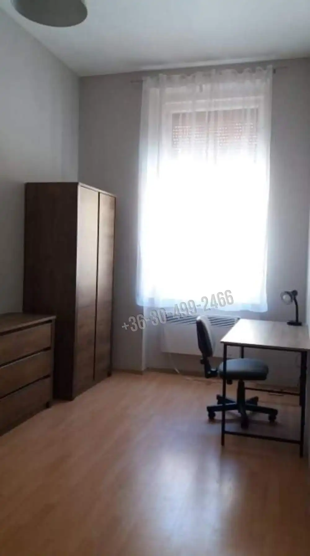 Csongrád megye - Szeged