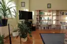 Csongrád megye - Szeged