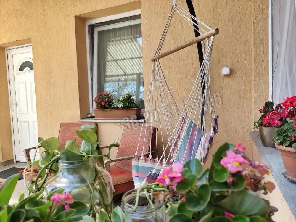 Csongrád megye - Szeged