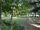 Fejér megye - Székesfehérvár