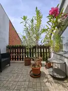 Csongrád megye - Szentes