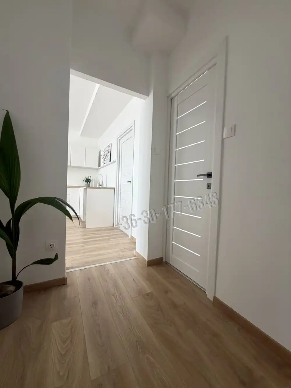 Komárom-Esztergom megye - Tatabánya