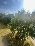 Komárom-Esztergom megye - Tatabánya