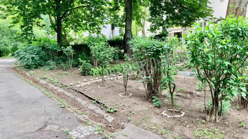 Komárom-Esztergom megye - Tatabánya