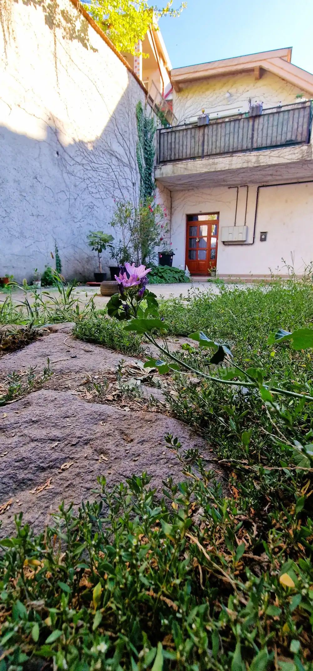 Pest megye - Vác