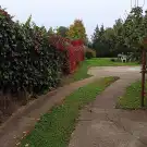 Pest megye - Vác
