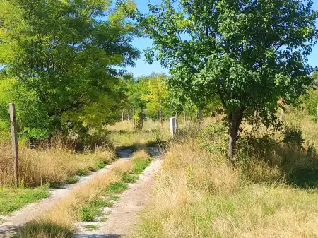 eladó telek, Balatonfüred