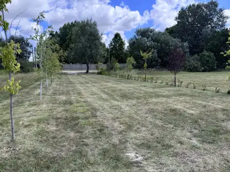 eladó telek, Dabas