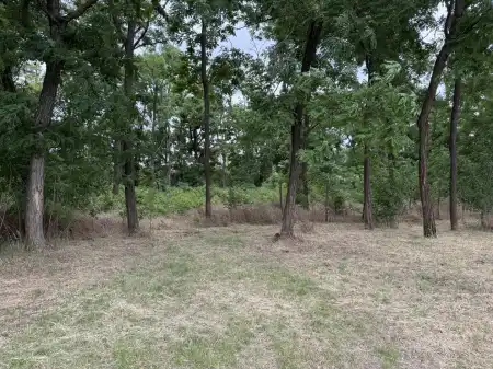 eladó telek, Dabas