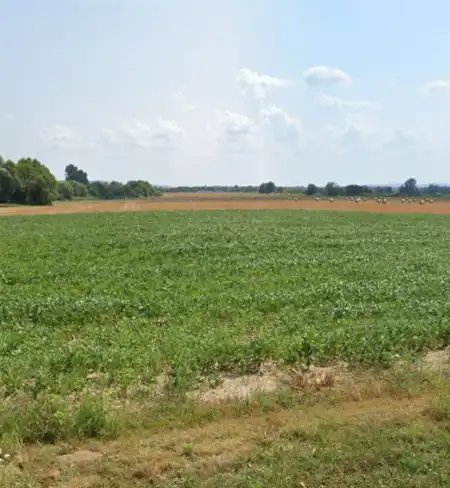 Eladó telek, Felsőrajk 1810 m² 1.9 M Ft