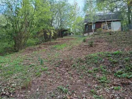 Eladó telek, Kőszeg 1607 m² 15.9 M Ft