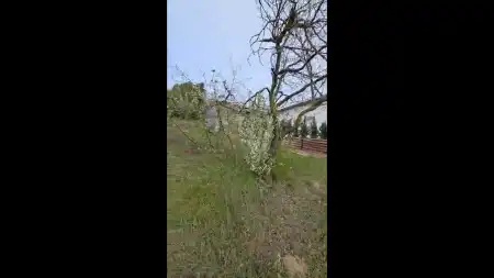 Eladó telek, Mogyoród 788 m² 59.4 M Ft