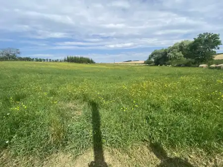 eladó telek, Nézsa