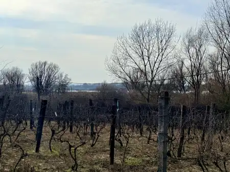 Eladó telek, Oroszlány 1500 m² 9.2 M Ft