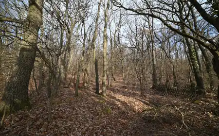 eladó telek, Remeteszőlős