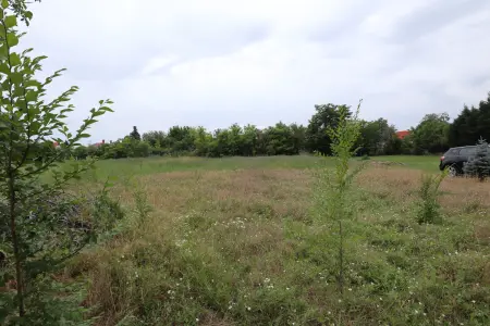 Eladó telek, Sándorfalva 797 m² 8.5 M Ft