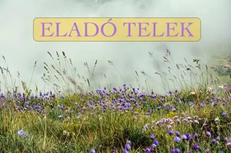 Eladó telek, Sződ 7187 m² 9.9 M Ft
