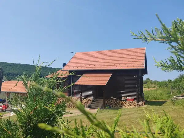 Eladó Üdülő, Alsópetény 1027 m² 58.9 M Ft