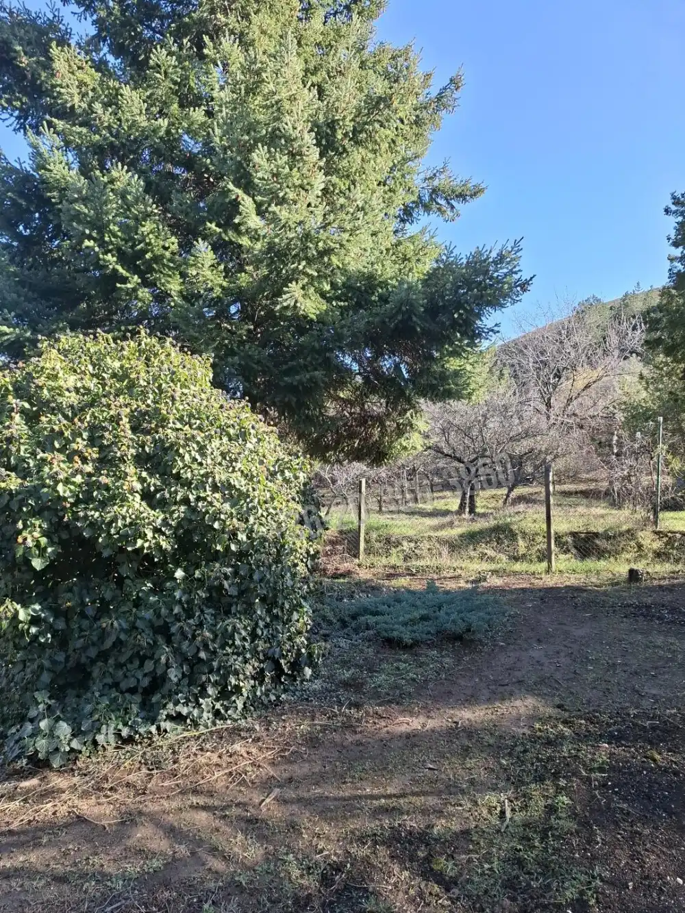 Pest megye - Budaörs