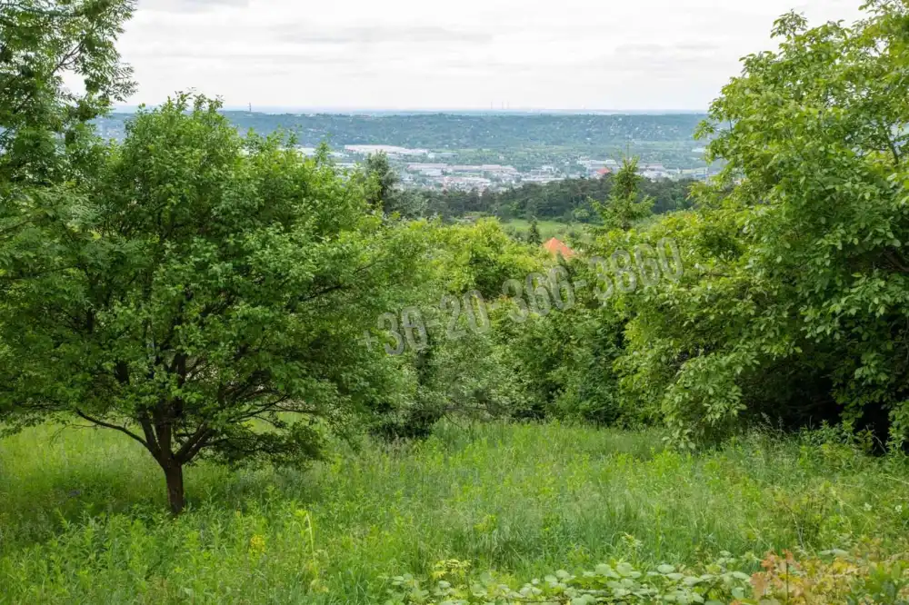 Pest megye - Budaörs