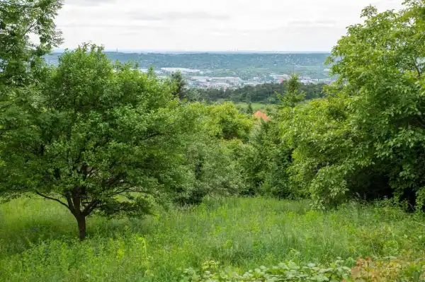Eladó Üdülő, Budaörs 1054 m² 39 M Ft