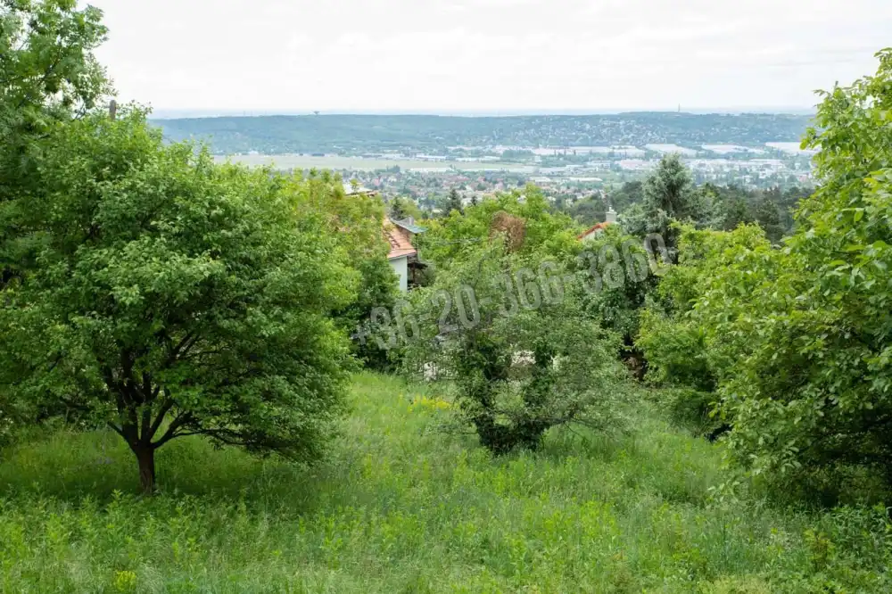 Pest megye - Budaörs