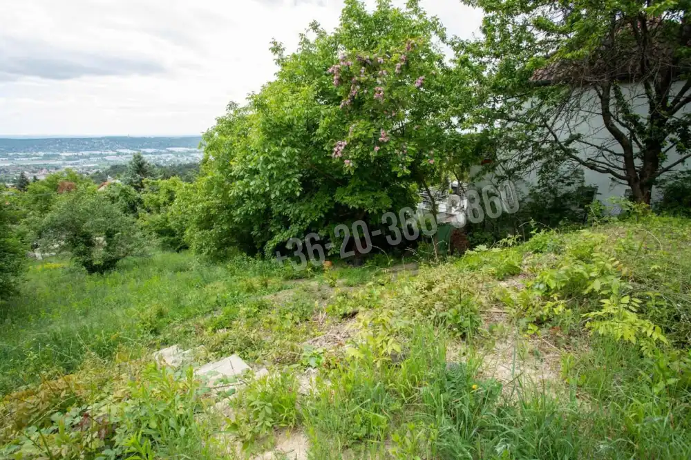 Pest megye - Budaörs