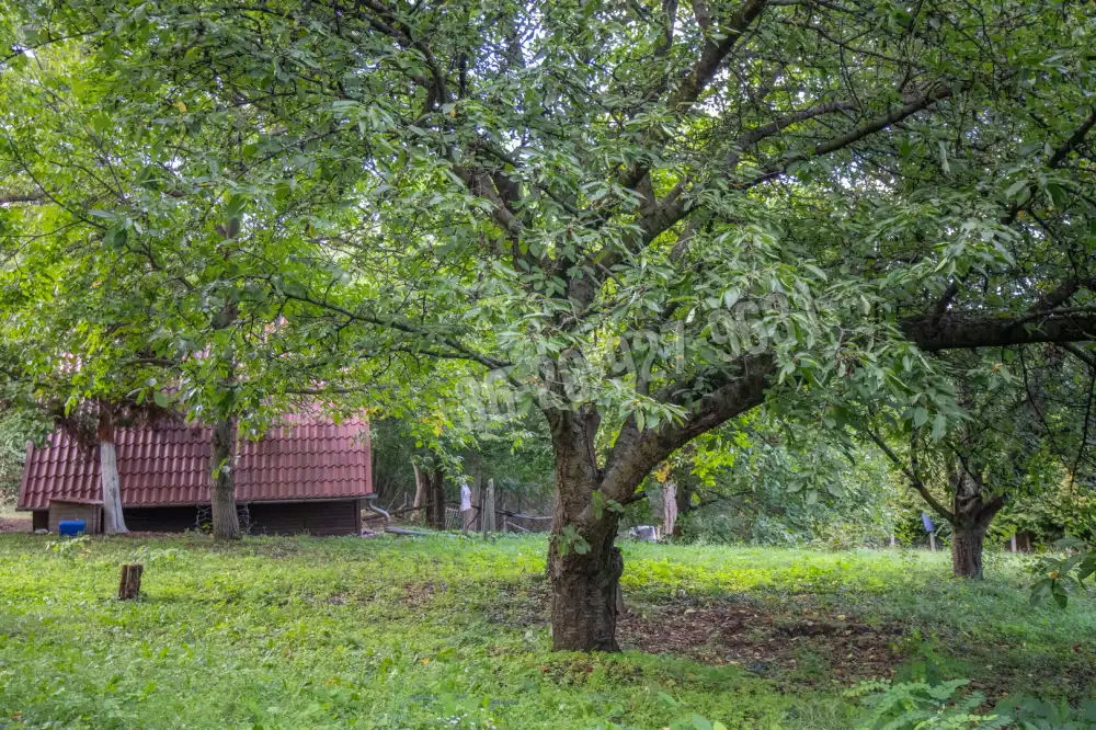 Pest megye - Csömör
