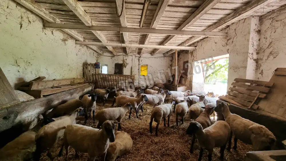 Tolna megye - Fadd