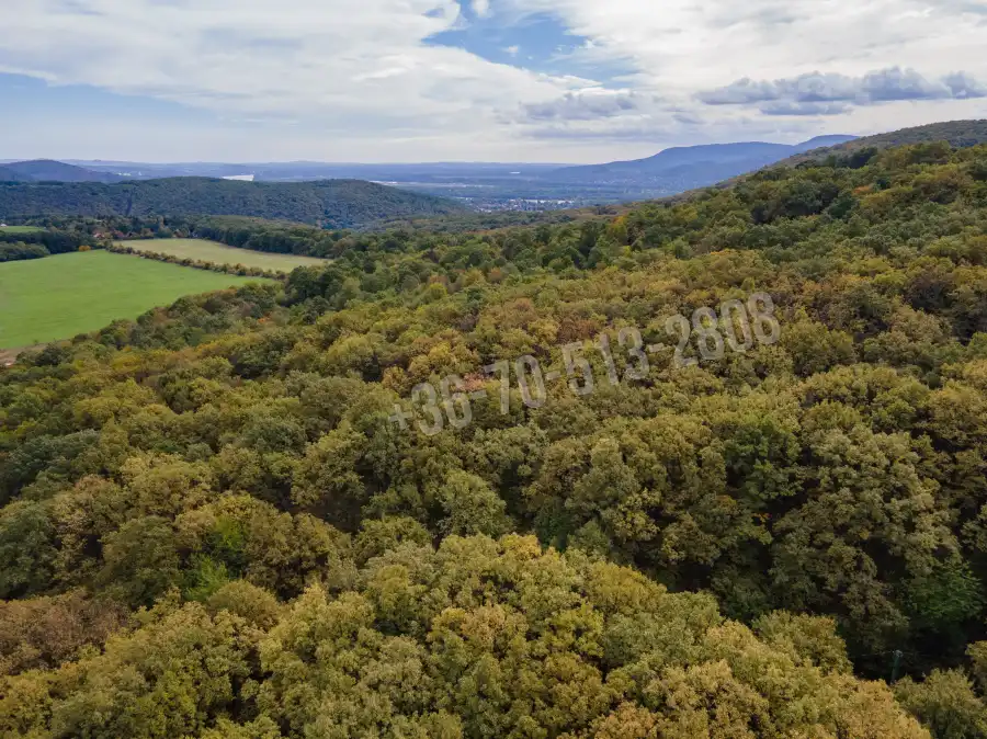 eladó  Üdülő, Kismaros