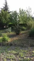Fejér megye - Rácalmás