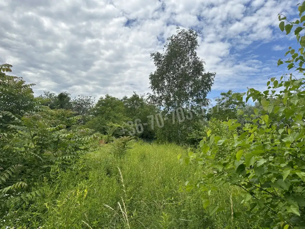 Pest megye - Vác