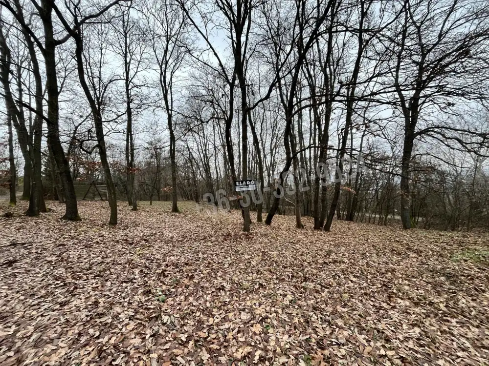 Pest megye - Verőce