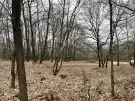 Pest megye - Verőce