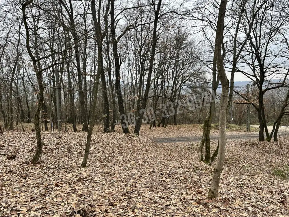 Pest megye - Verőce